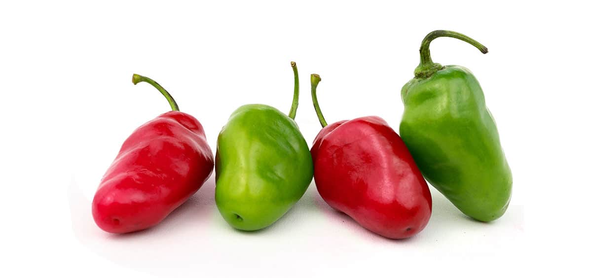 Rocotos peppers on white isolated background.
