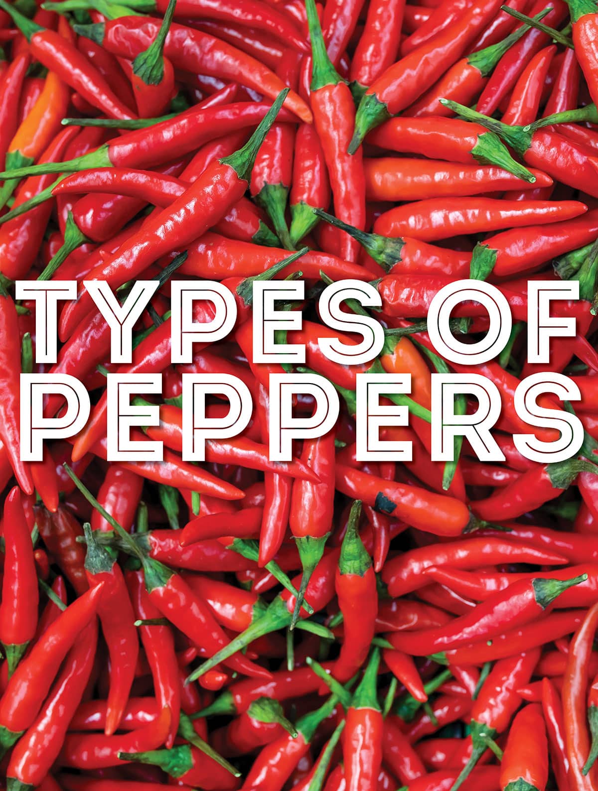 Collage that says "types of peppers".