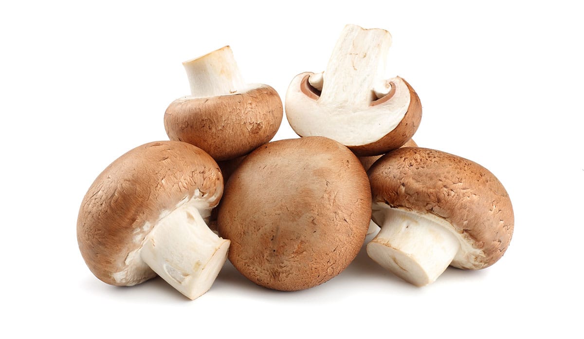 Button mushrooms on a white background.