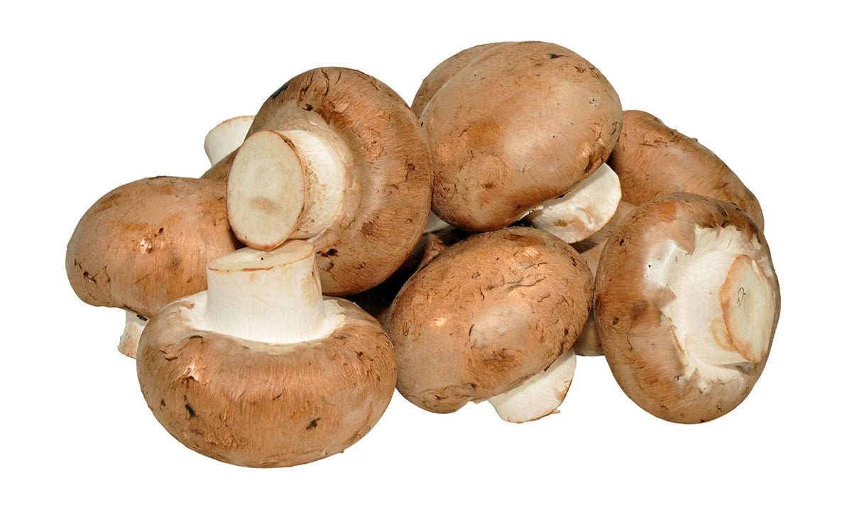 Chestnut mushrooms on a white background.