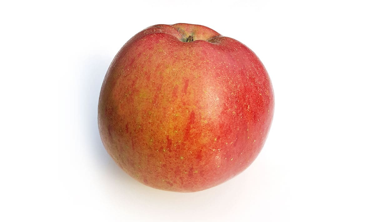 Melrose apples on white background.