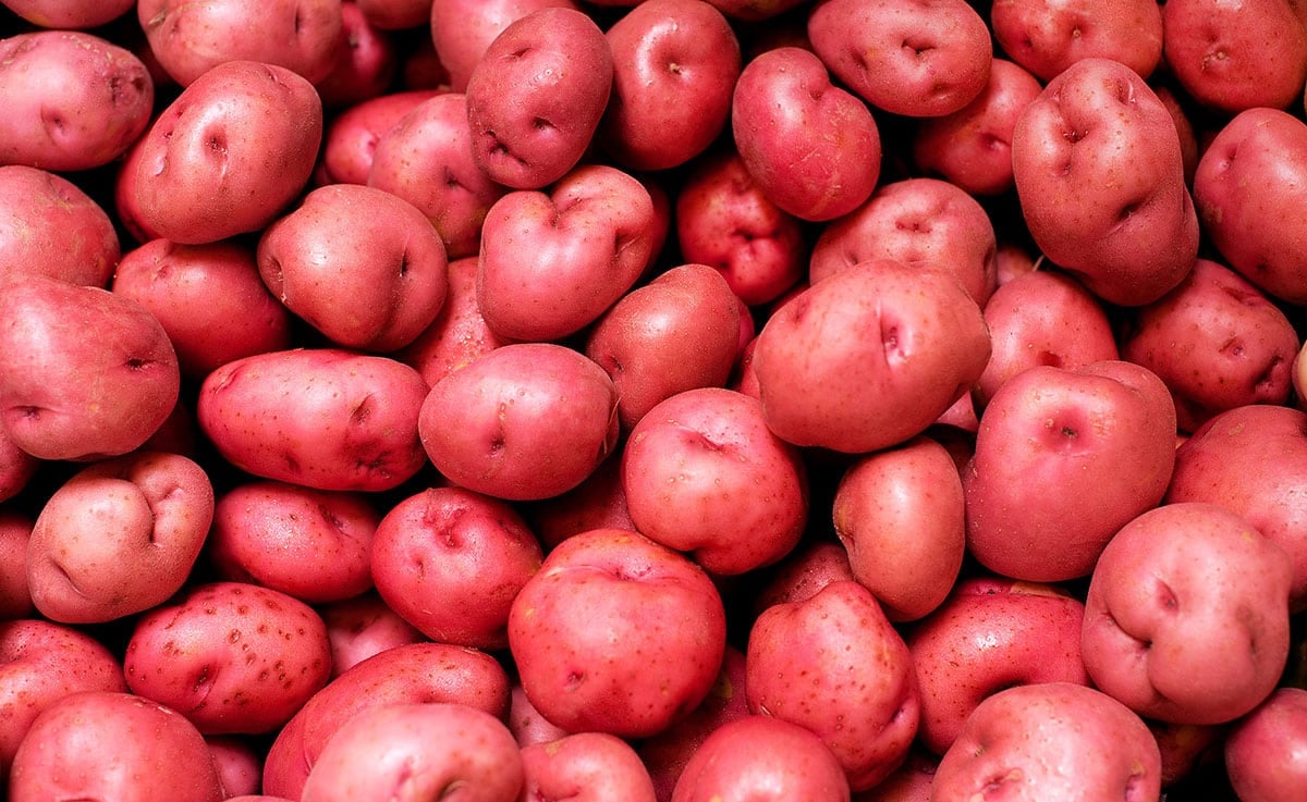 Norland Potatoes