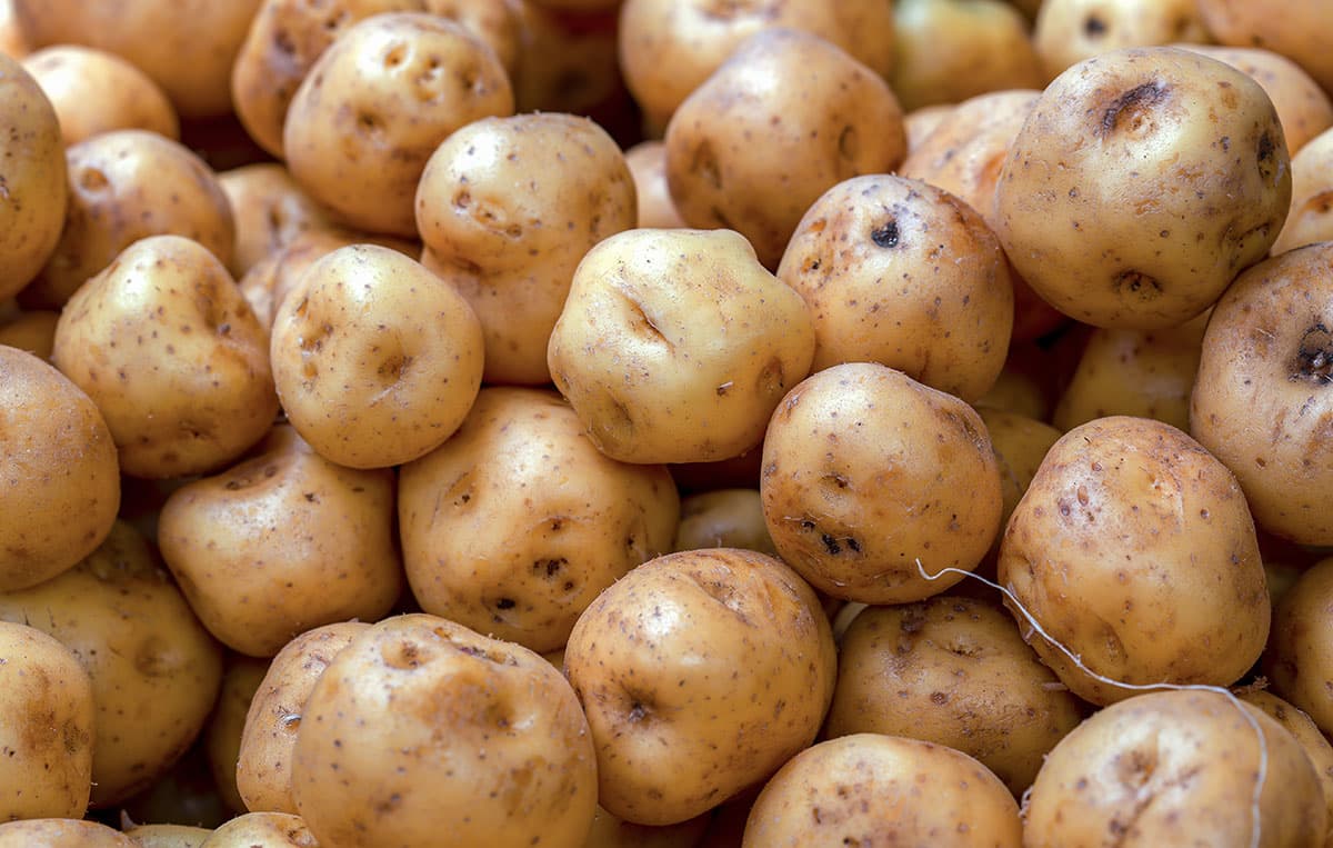 Phureja Potatoes