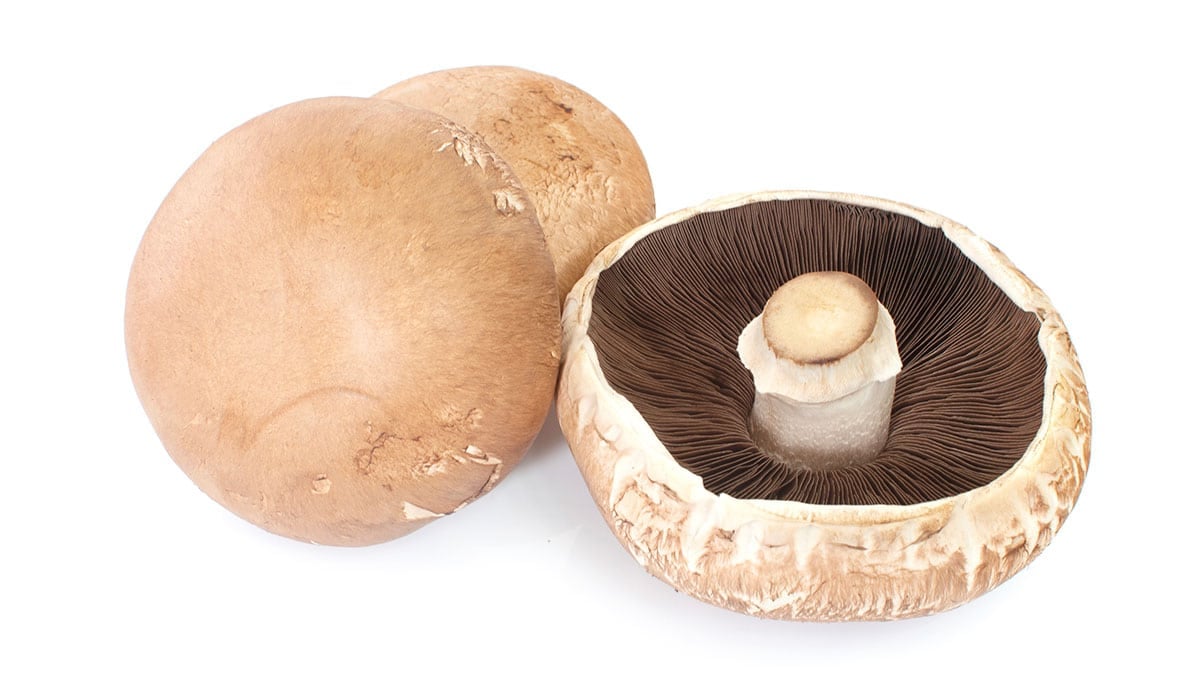 Portobello mushrooms on a white background. 