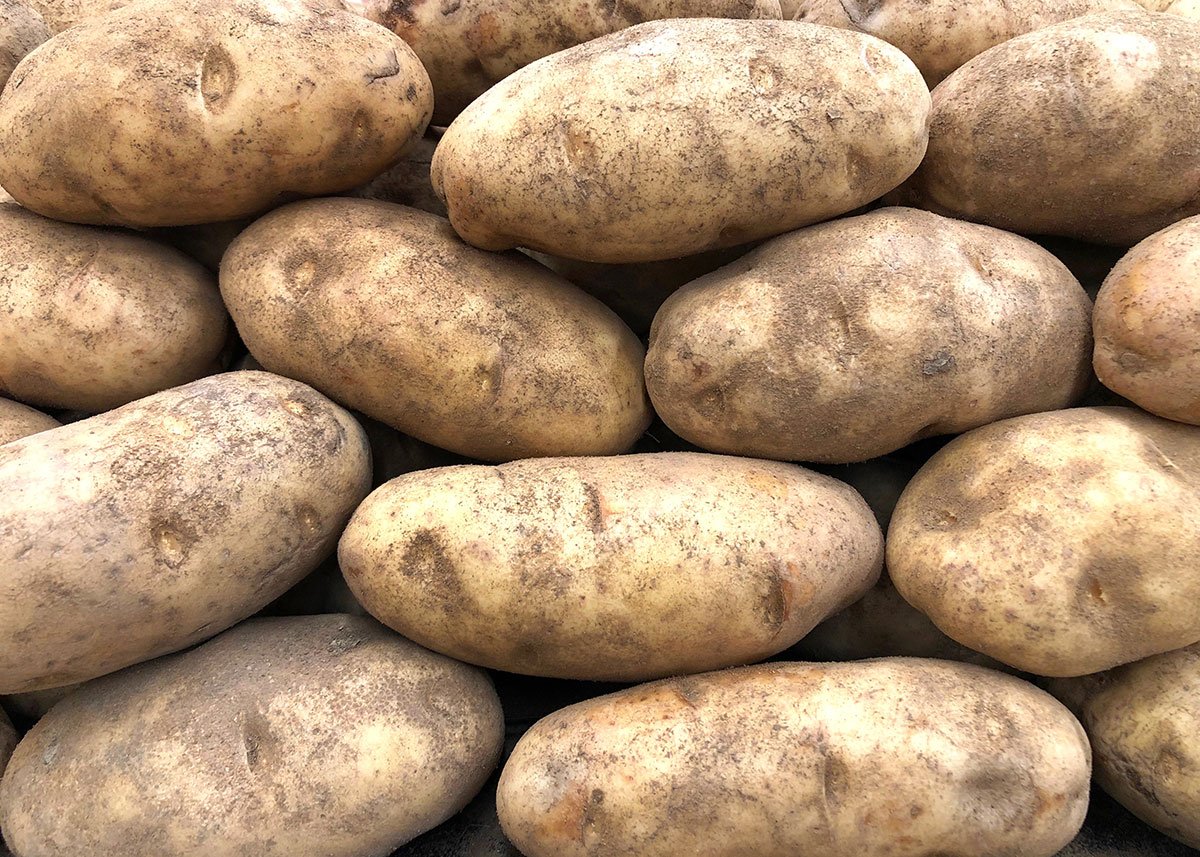 Russet Burbank Potatoes