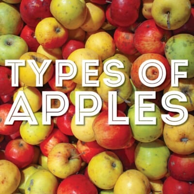 Collage that says "types of apples".