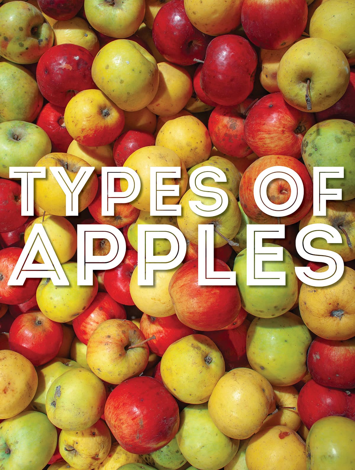 Collage that says "types of apples".