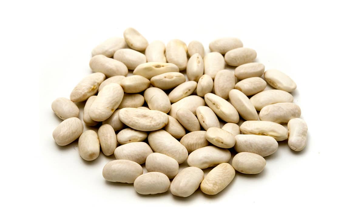 Cannellini beans isolated on a white background.