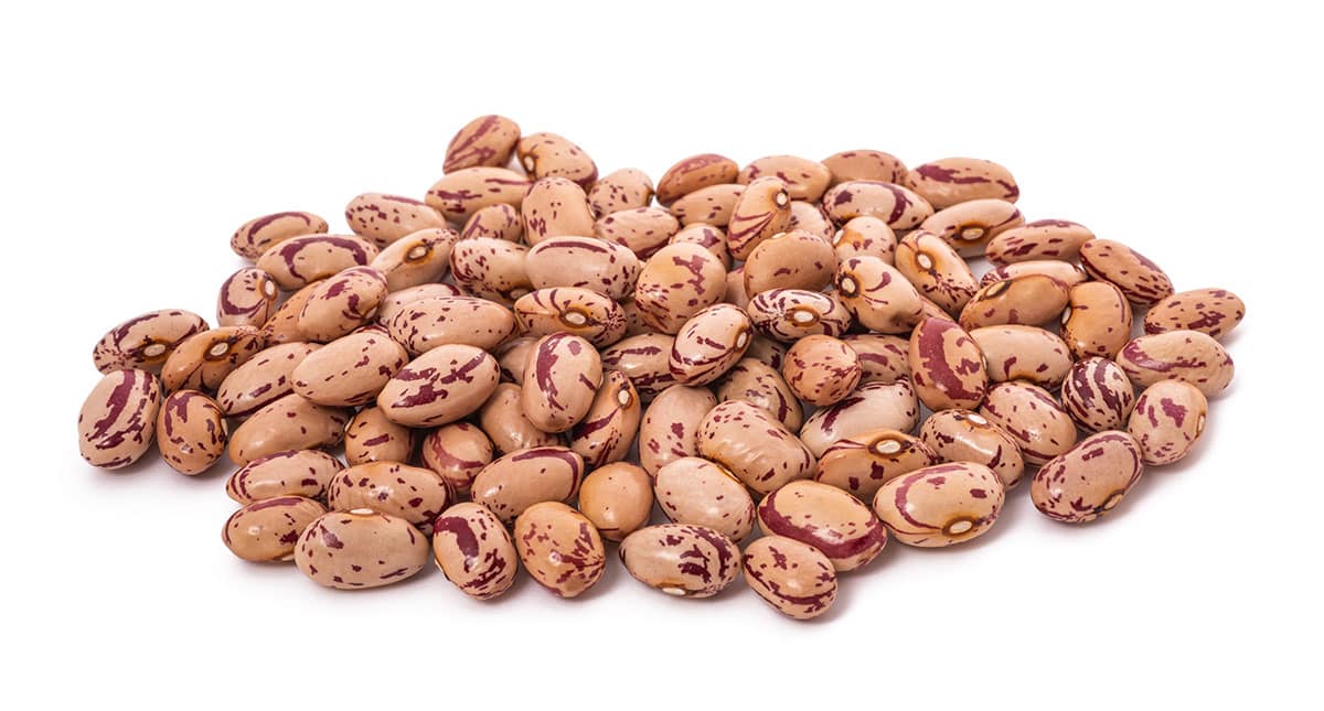 Cranberry beans isolated on a white background.