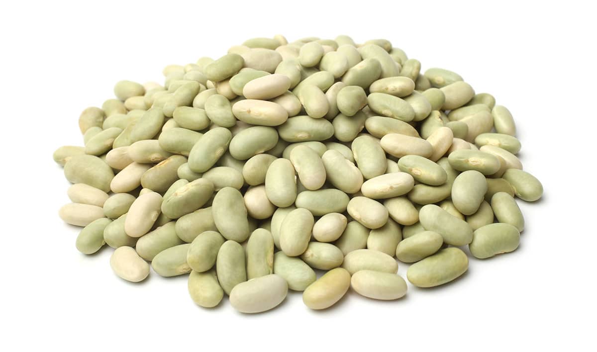 Flageolet beans isolated on a white background.