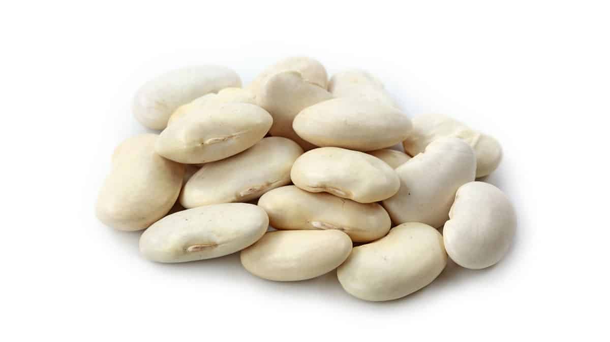 Gigante beans isolated on a white background.