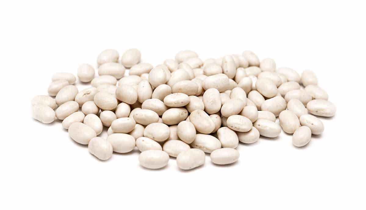 Great northern beans isolated on a white background.