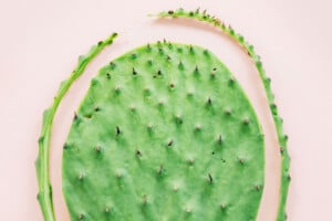 Step 1 of how to cook nopales.