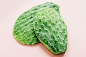 Two fresh green cactus pads, also known as nopales, lie on a light-colored surface with visible drops of moisture on them, ready for your next recipe or to learn how to cook nopales perfectly.