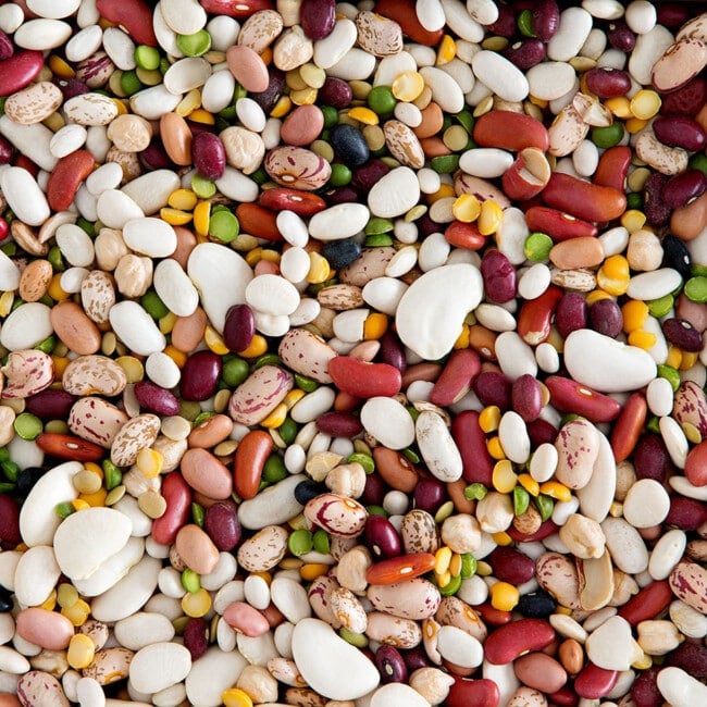 Many types of beans.