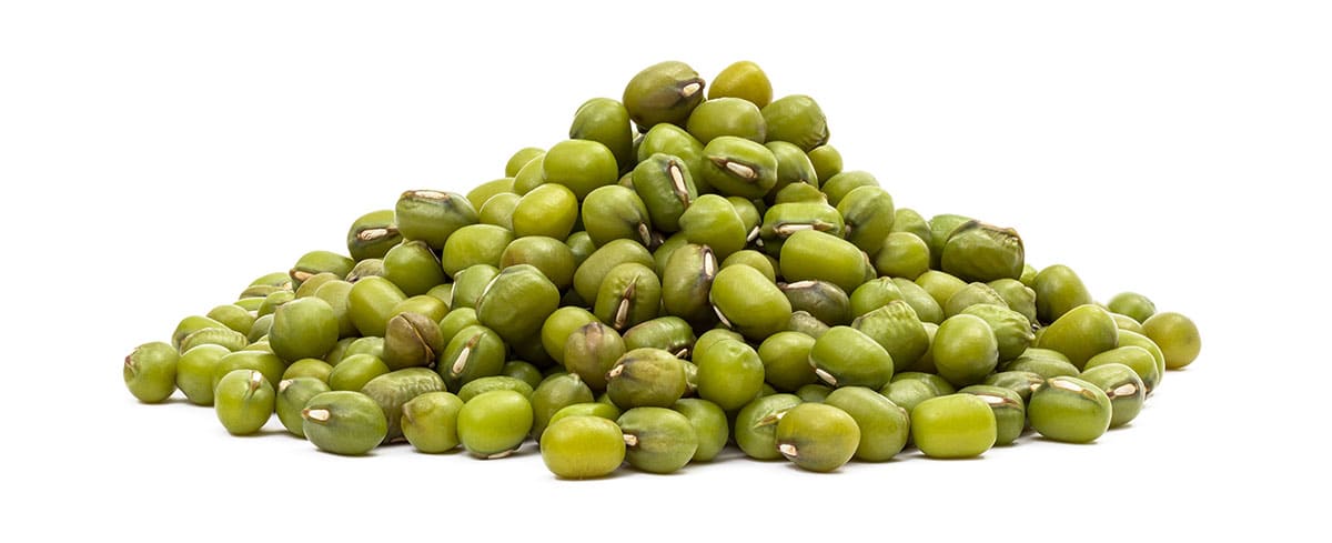 Mung beans isolated on a white background.