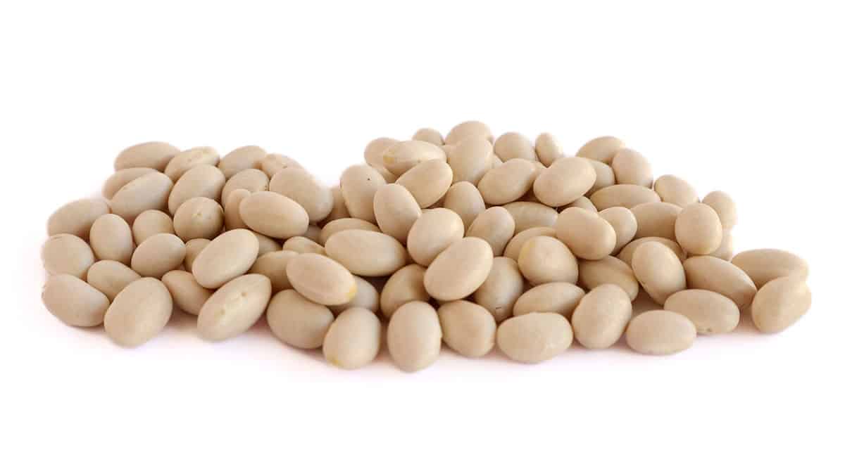 Navy beans isolated on a white background.