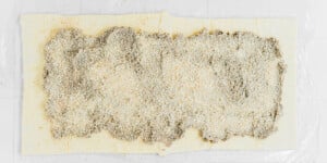 A rectangular sheet of dough is laid flat and evenly covered with a layer of finely ground, light-colored filling or seasoning, as in preparing a classic beet wellington.