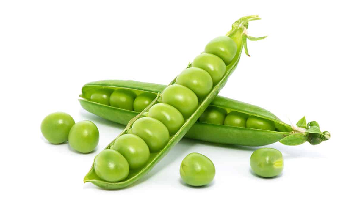 Peas isolated on a white background.