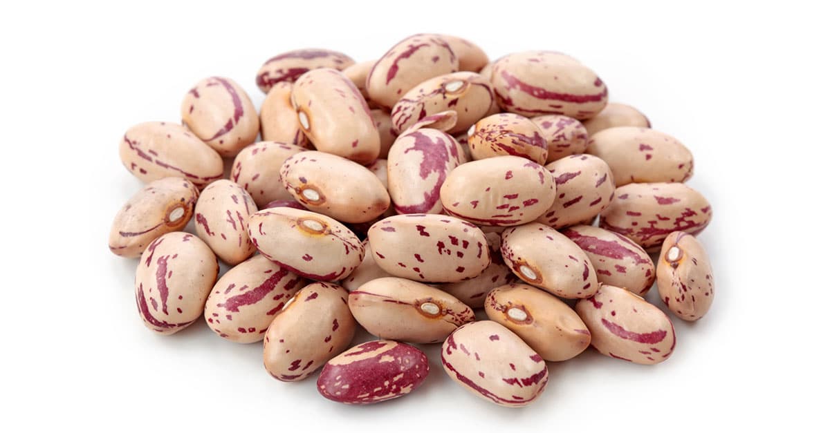 Pinto beans isolated on a white background.