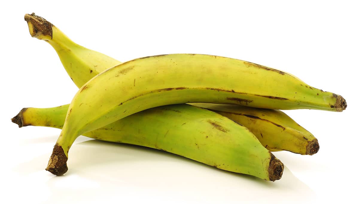 Plantains on a white background.