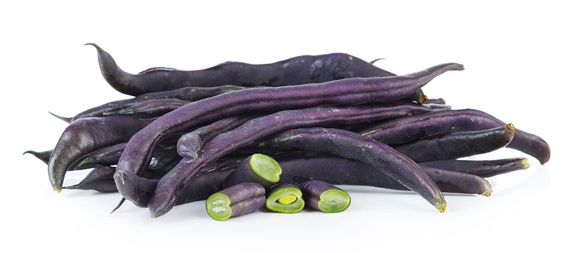 Purple string beans isolated on a white background.