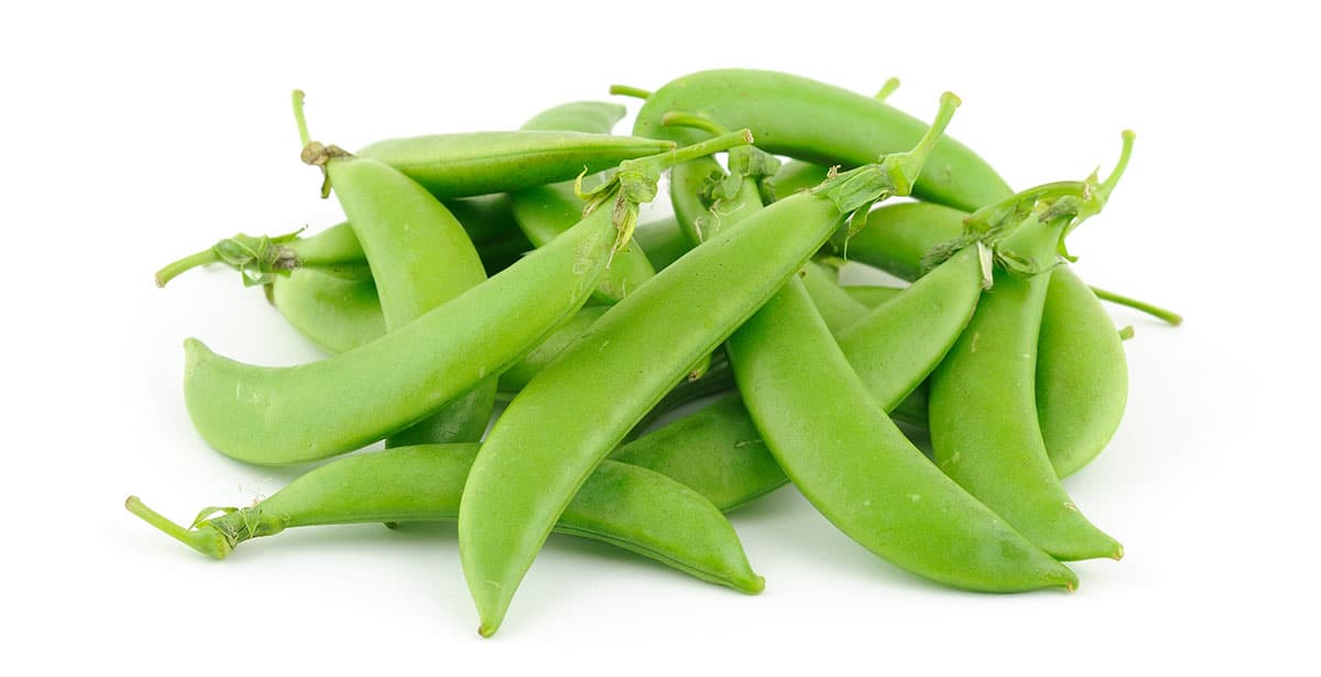 Snap peas isolated on a white background.