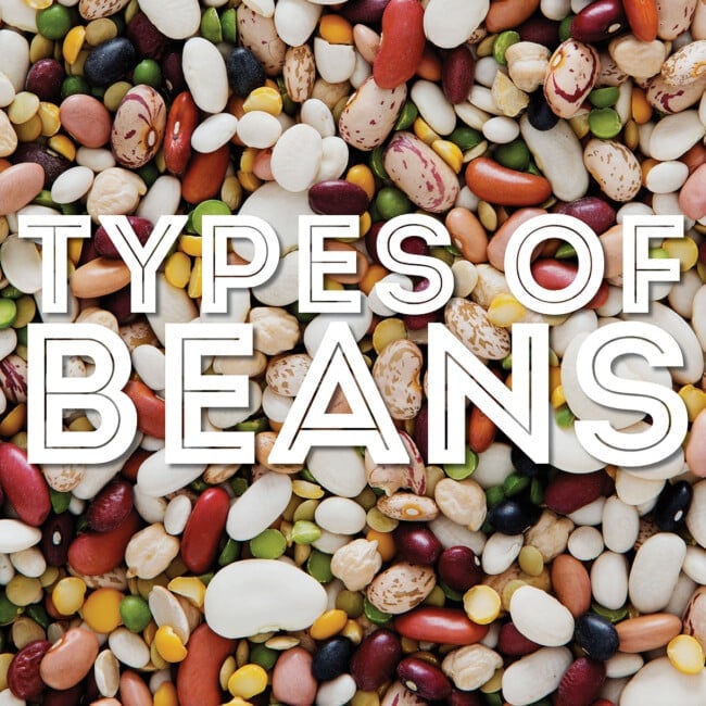 Collage that says "types of beans".