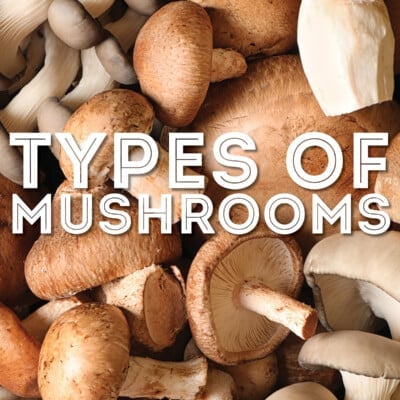 Collage that says "types of mushrooms".