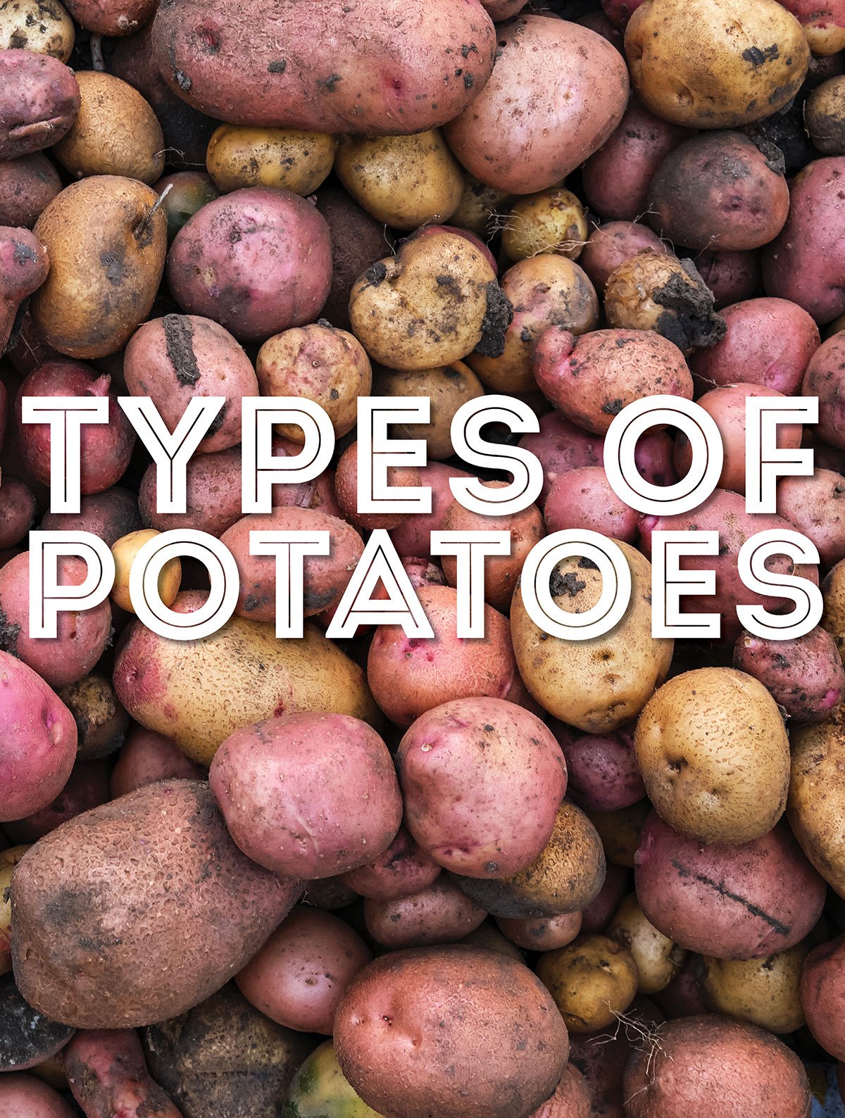 Collage that says "types of potatoes"