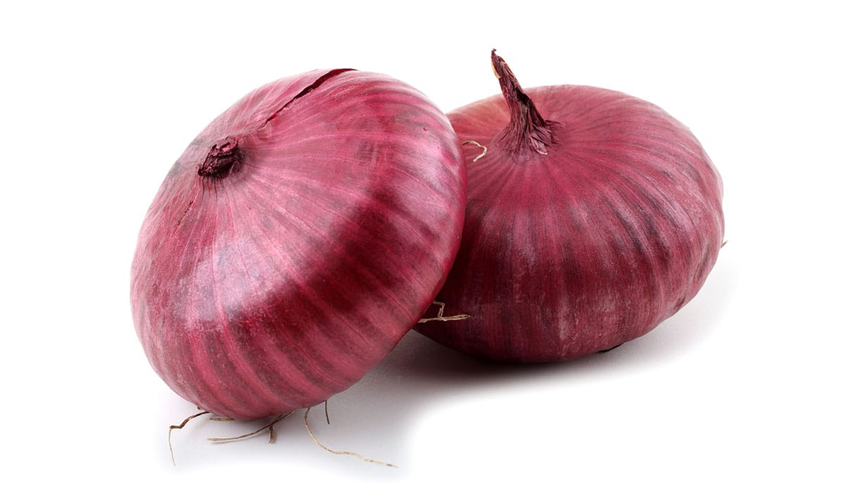 Cipollini onion on a white background.