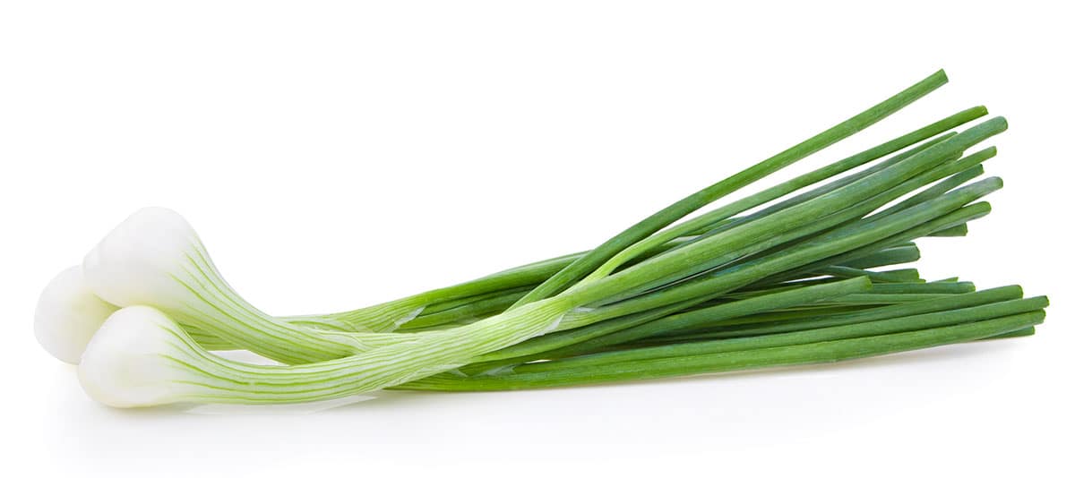 Green onion on a white background.