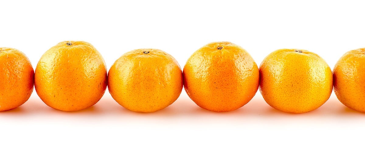 Hamlin oranges on a white background
