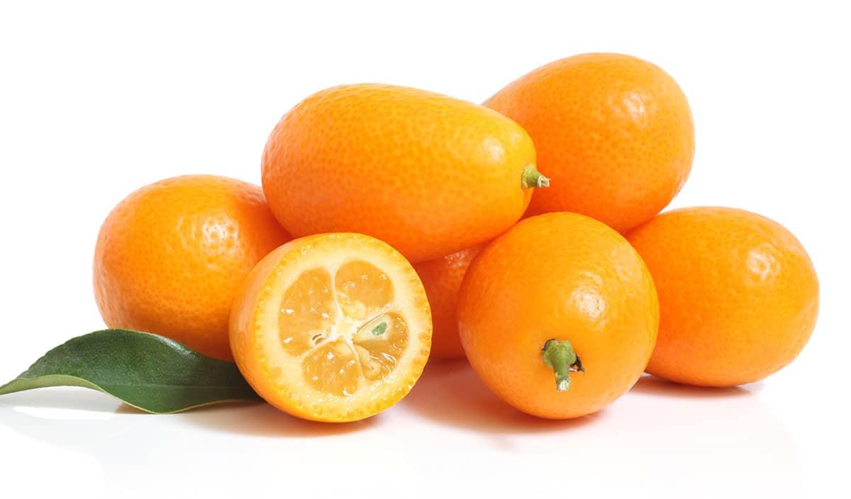 Kumquats on a white background