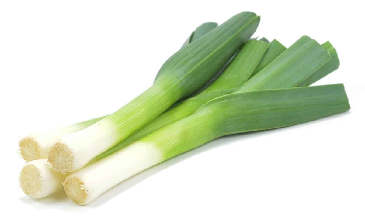 Leeks on a white background.