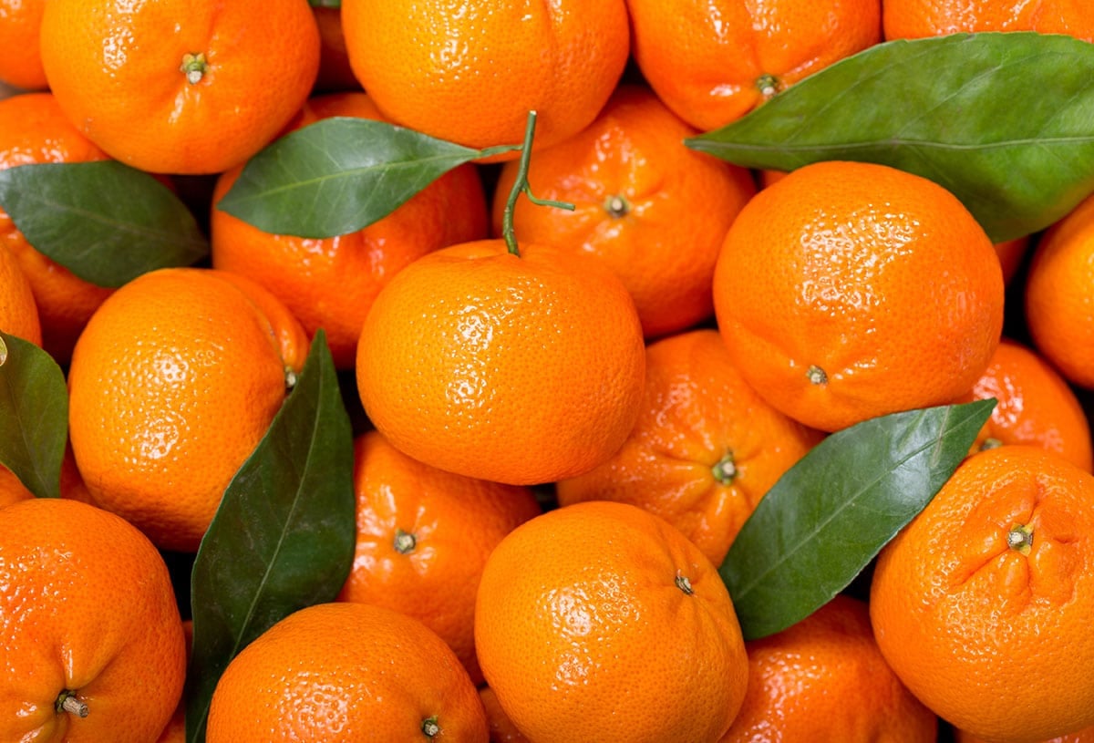 Many mandarin oranges