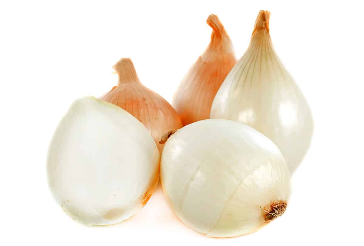 Maui onion on a white background.