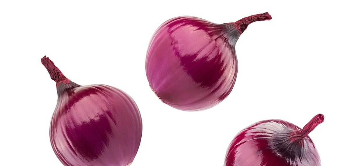 Red wing onion on a white background.