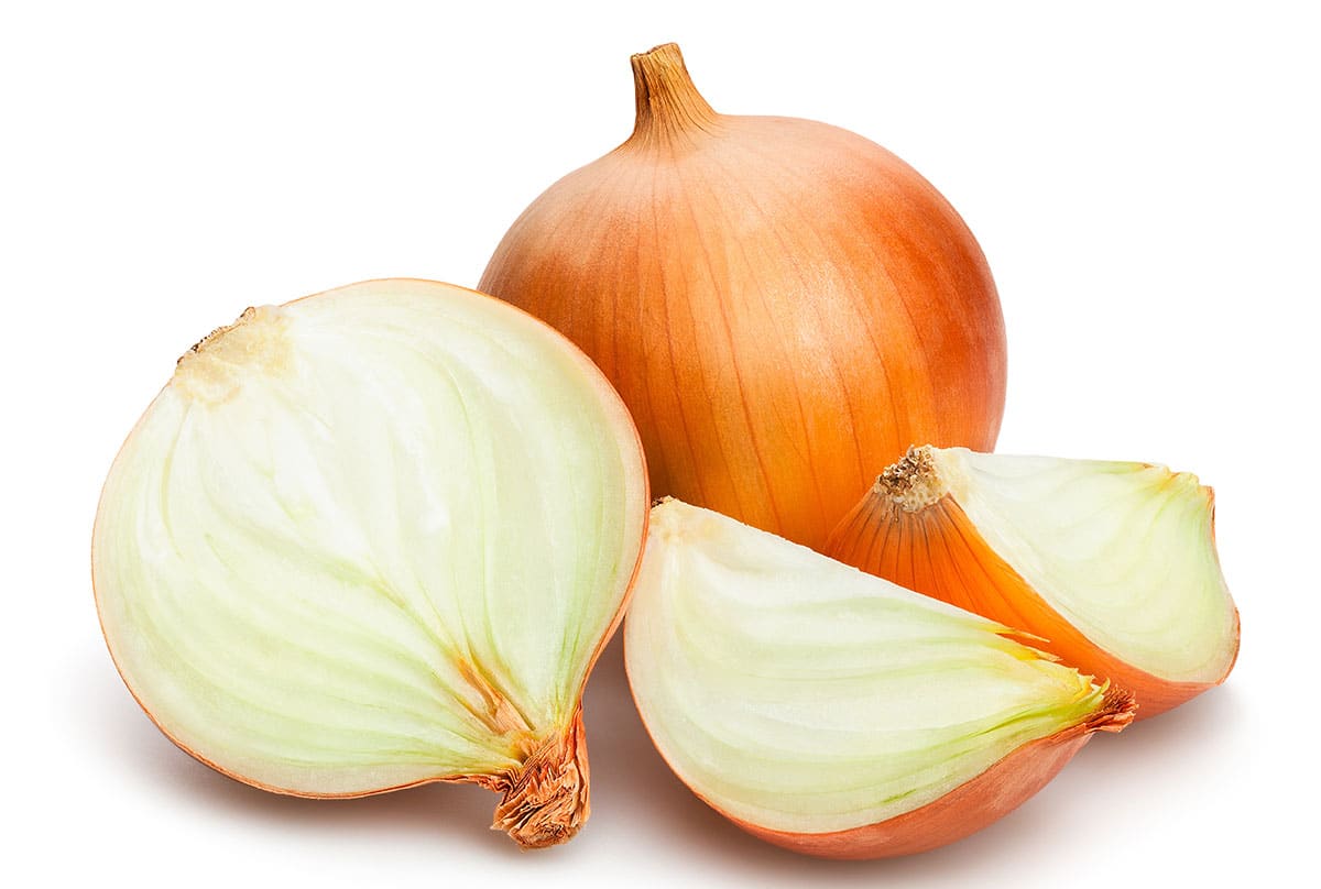 Spanish onion on a white background.