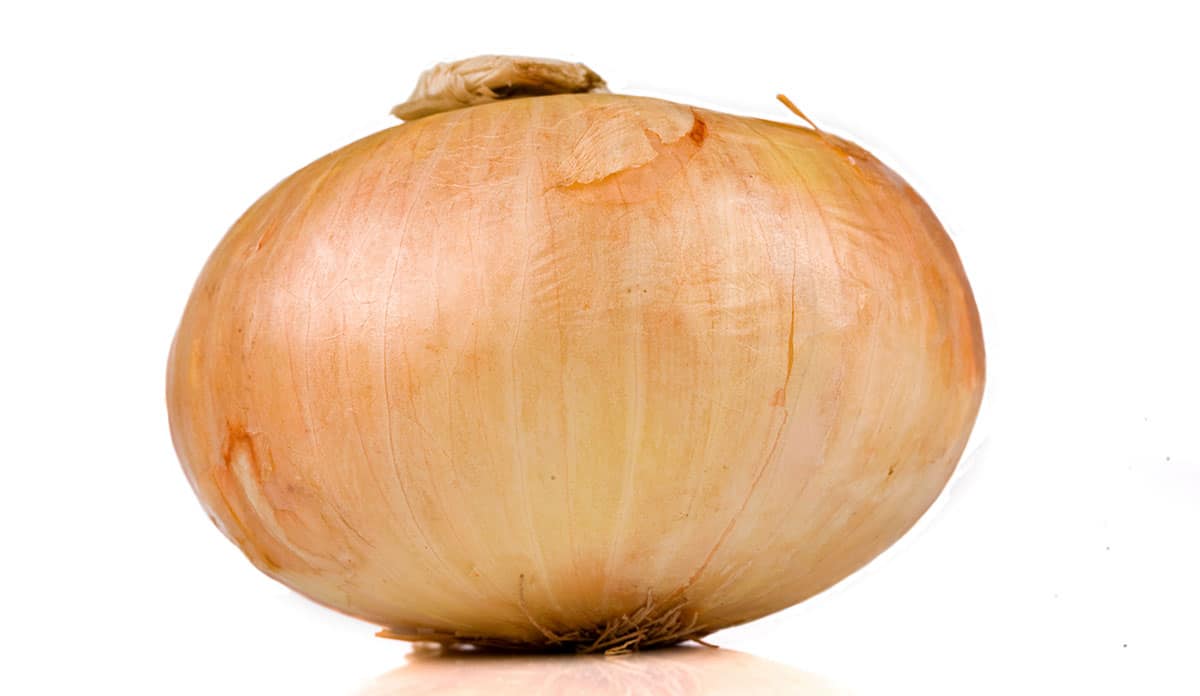 Vidalia onion on a white background.
