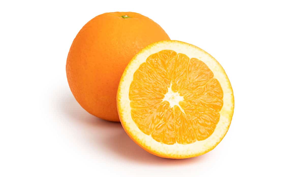 Washington navel oranges on a white background.