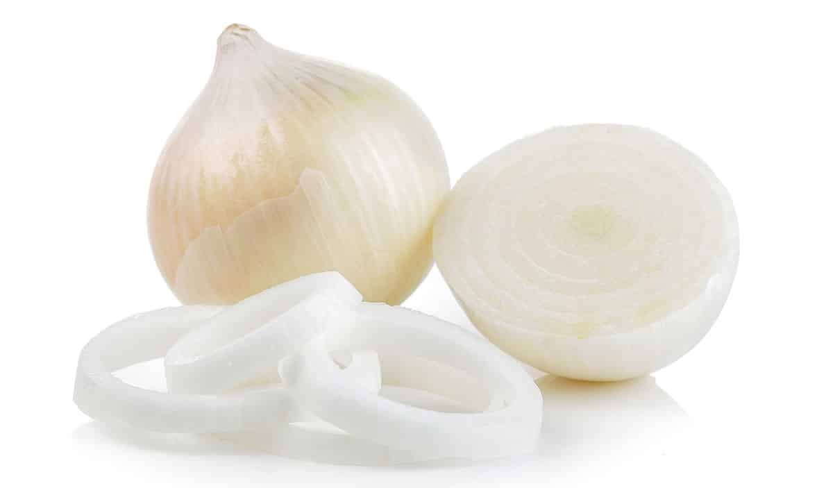 White onion on a white background.