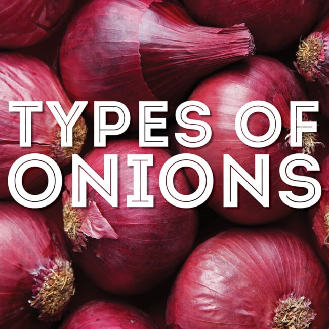 Collage that says "types of onions"