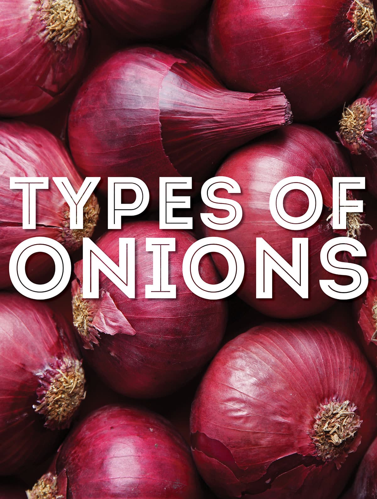 Collage that says "types of onions"