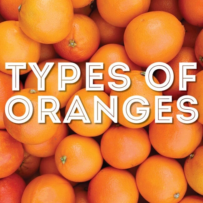 Collage that says "type of oranges"
