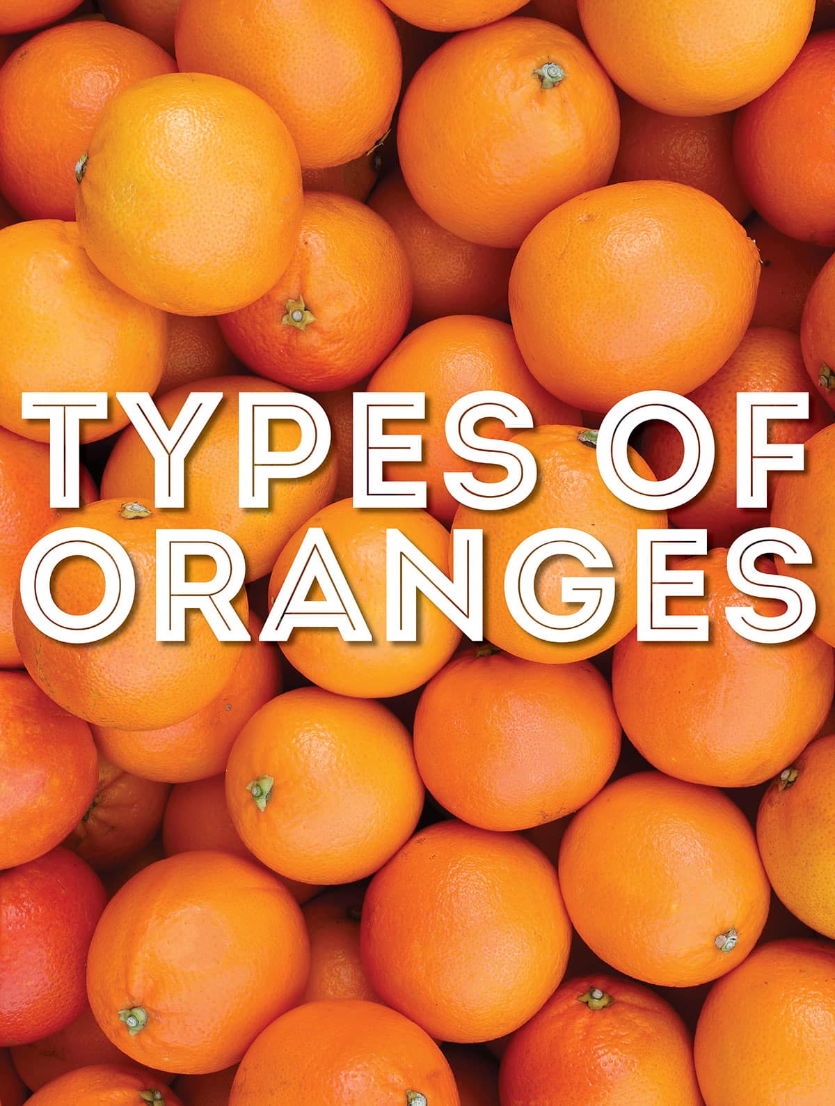 Collage that says "type of oranges"
