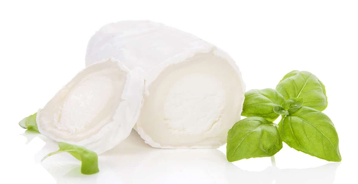 Goat cheese isolated on a white background.