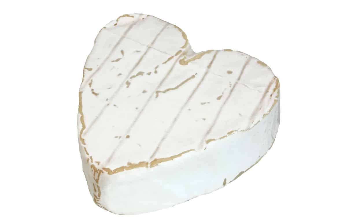 Neufchatel cheese isolated on a white background.