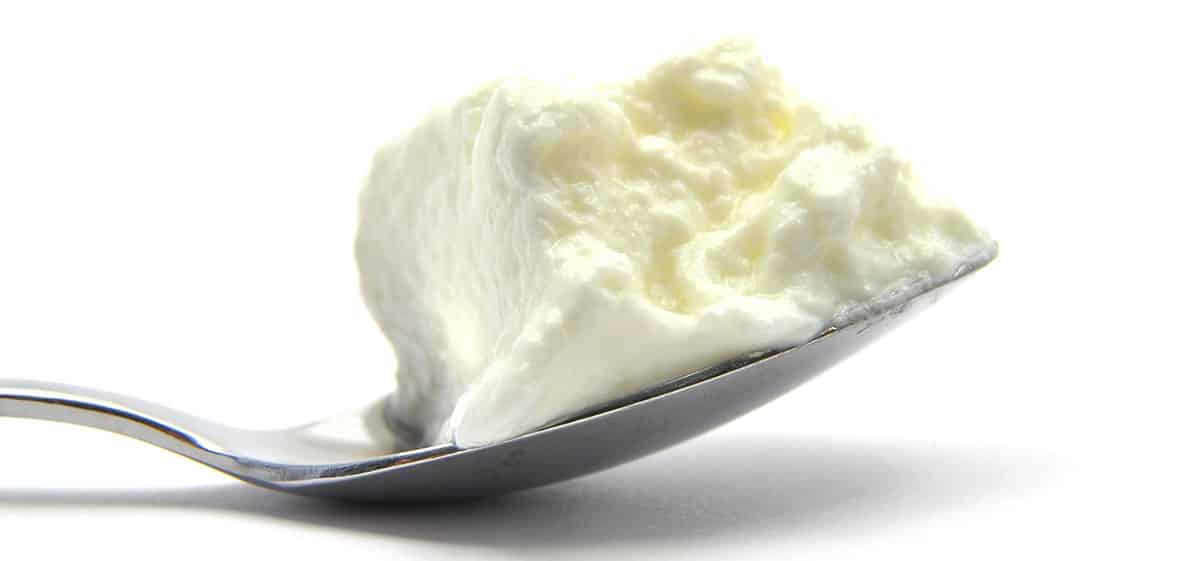 Quark isolated on a white background.