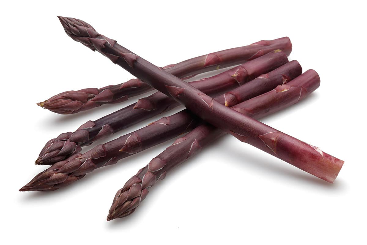 Purple asparagus on a white background.